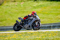 Brno;event-digital-images;motorbikes;no-limits;peter-wileman-photography;trackday;trackday-digital-images